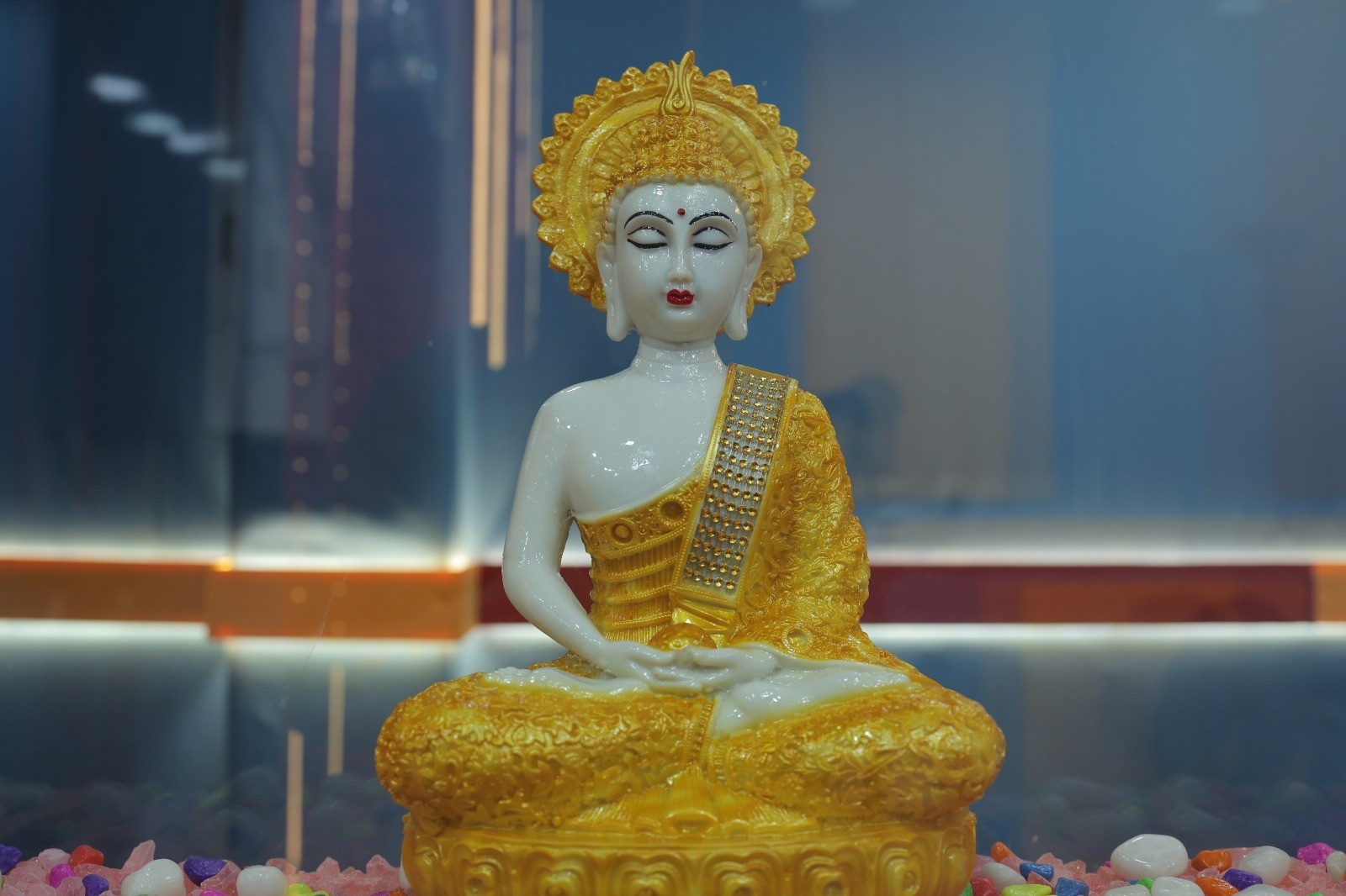 WhatsAppImage2026-01-31at6.08.34PM17